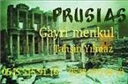 Prusias Emlak İnşaat Gıda Otomotiv Sanayi Ltd Şti - Bursa